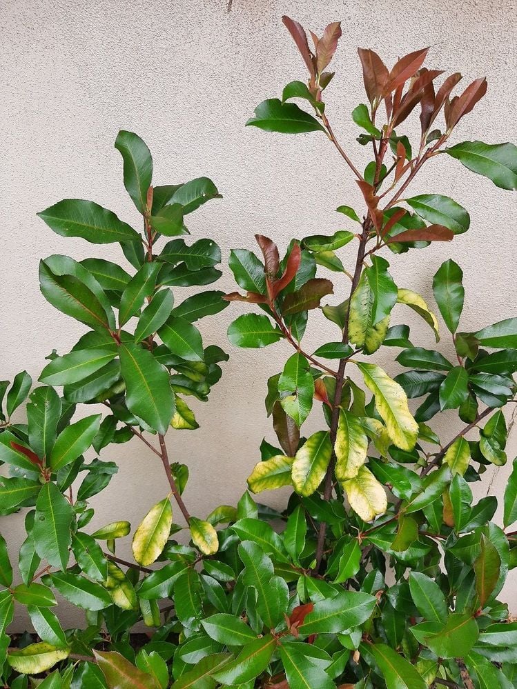 20220101_131855.jpg 20220101_131855.jpg