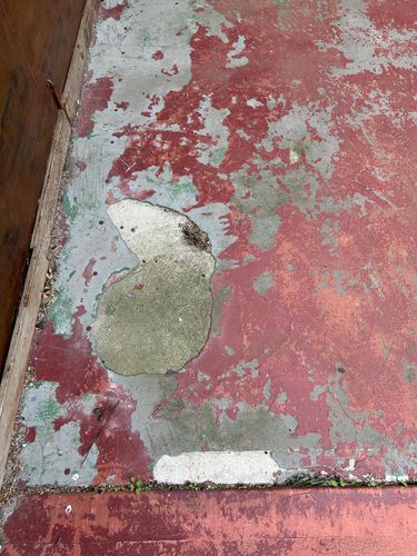 IMG_9300.jpeg IMG_9300.jpeg