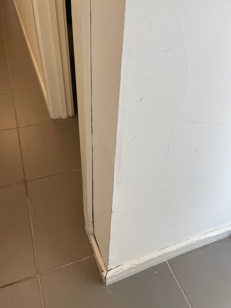 Image (5).jpg Image (5).jpg