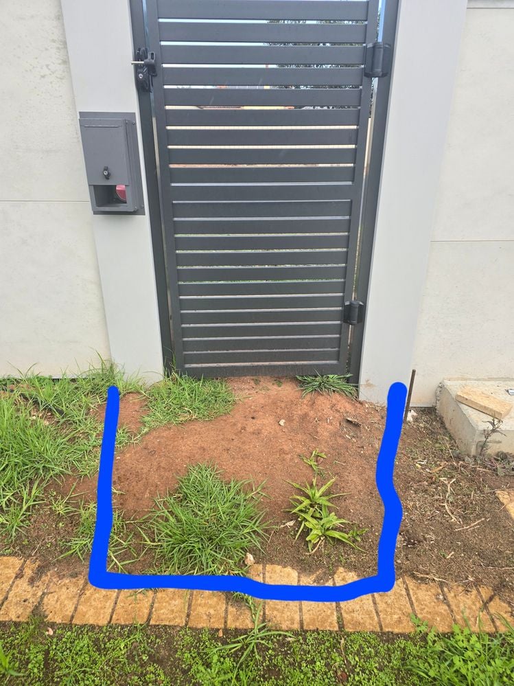 20240619_113312.jpg 20240619_113312.jpg