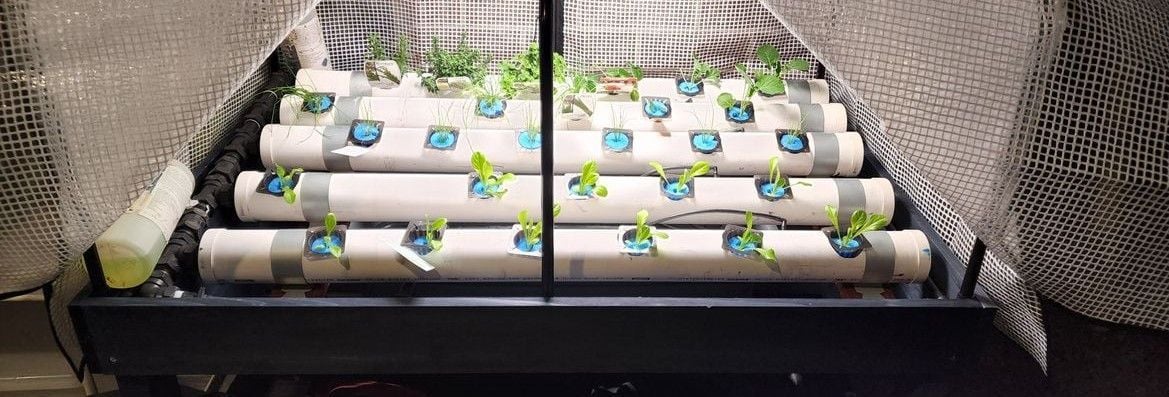 Outdoor hydroponic garden.jpg Outdoor hydroponic garden.jpg