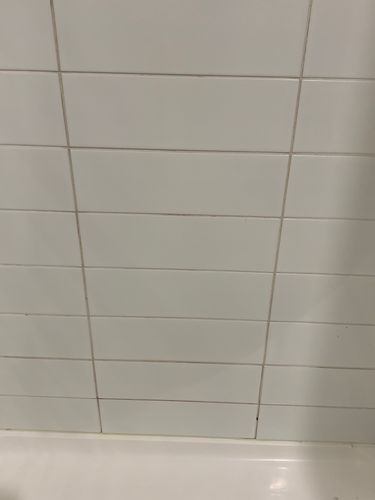 IMG_9484.jpeg IMG_9484.jpeg