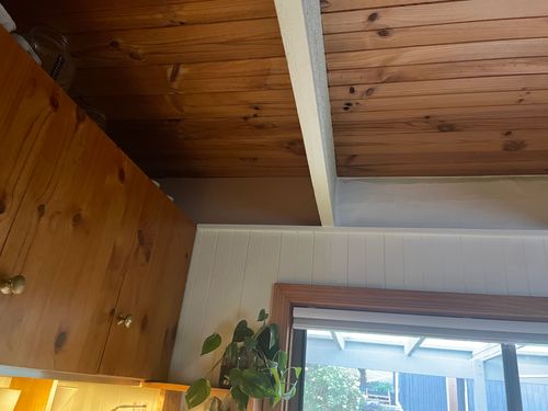 IMG_2342.jpeg IMG_2342.jpeg