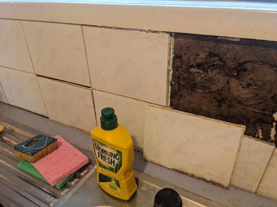 PXL_20231225_052936974.jpg PXL_20231225_052936974.jpg