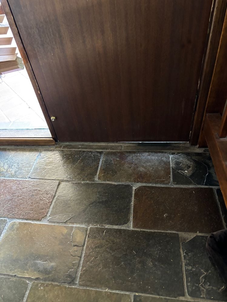 IMG_0275.jpg IMG_0275.jpg