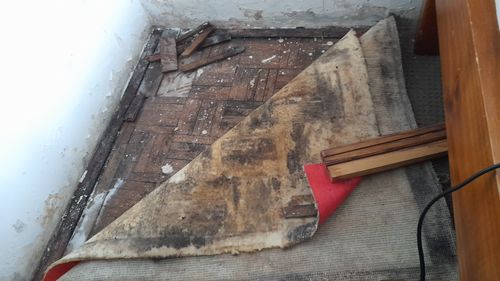 20220520_075900.jpg 20220520_075900.jpg