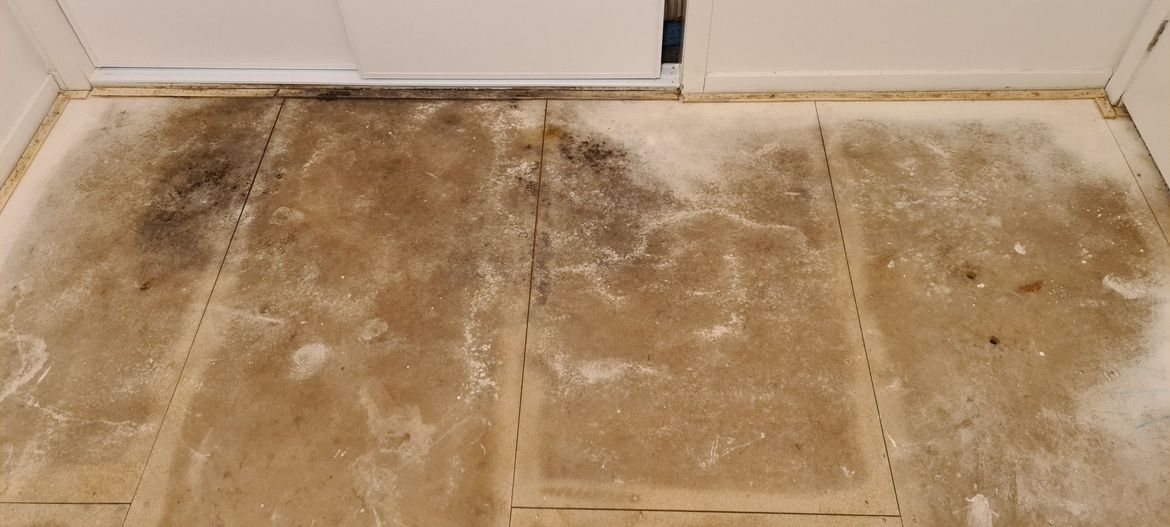 middle_room_carpet_off_2.jpg middle_room_carpet_off_2.jpg