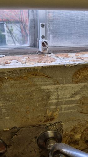 1000034128.jpg 1000034128.jpg