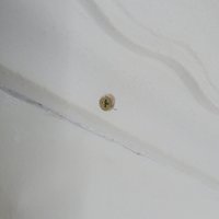 4.4 Screw installed.png 4.4 Screw installed.png