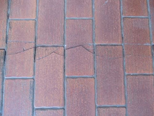 P1120014.JPG P1120014.JPG