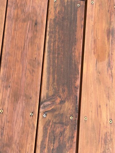 IMG_4126.jpeg IMG_4126.jpeg