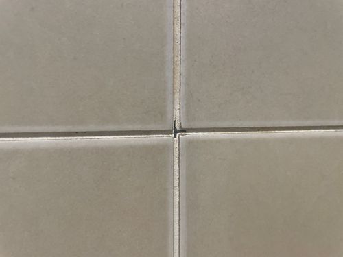 IMG_6115.jpeg IMG_6115.jpeg