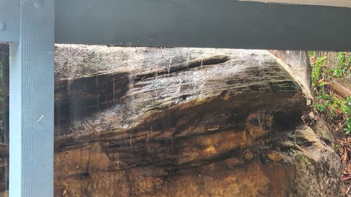 20250110_111600.jpg 20250110_111600.jpg