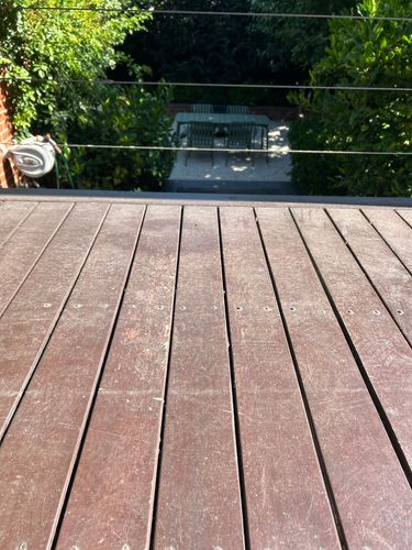 IMG_4243.jpeg IMG_4243.jpeg