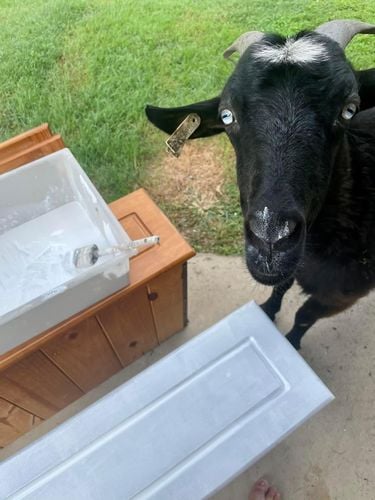 4C3CCA25-56CF-4811-9921-7EAA850A728E.jpeg 4C3CCA25-56CF-4811-9921-7EAA850A728E.jpeg