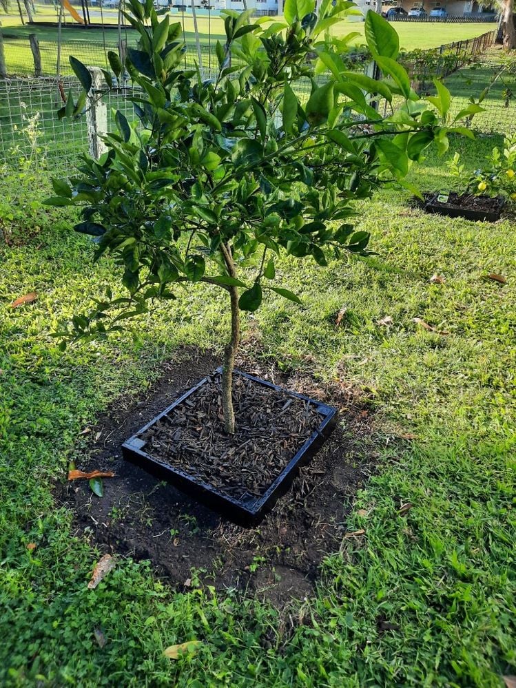 20250624_152327.jpg 20250624_152327.jpg