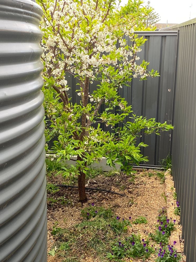 IMG_0832.jpeg IMG_0832.jpeg