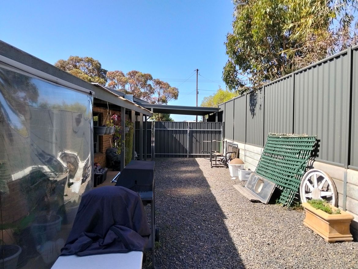 IMG20251215162447.jpg IMG20251215162447.jpg