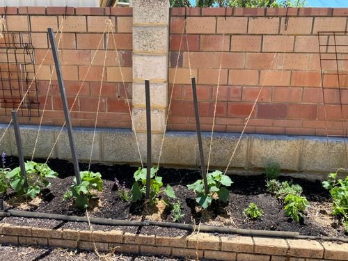 IMG_9660.jpeg IMG_9660.jpeg