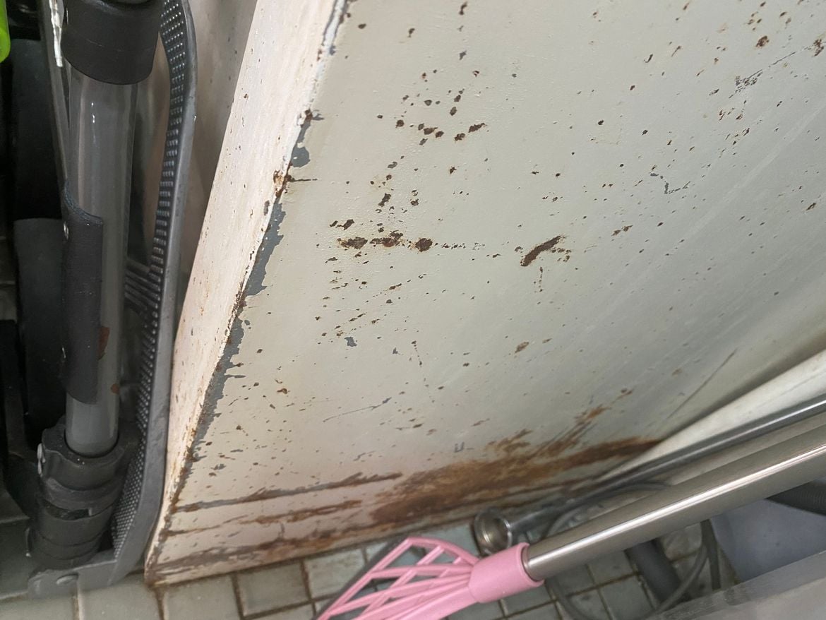 IMG_2589.jpeg IMG_2589.jpeg