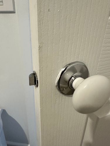 IMG_3583.jpeg IMG_3583.jpeg