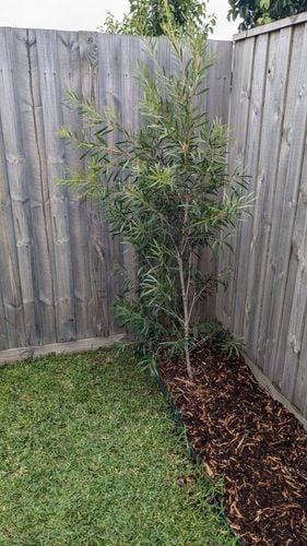 1000012951.jpg 1000012951.jpg