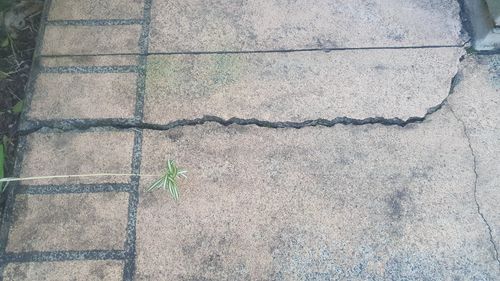 20250824_093924.jpg 20250824_093924.jpg