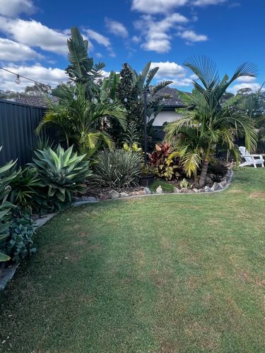 IMG_8681.jpeg IMG_8681.jpeg