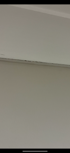 3EB071D2-A8BA-4FA2-87D3-33E21452C343.png 3EB071D2-A8BA-4FA2-87D3-33E21452C343.png