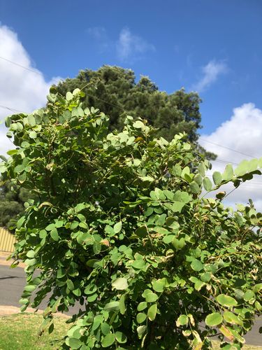 B381A649-45D4-4460-90F0-CE7F12BB096D.jpeg B381A649-45D4-4460-90F0-CE7F12BB096D.jpeg