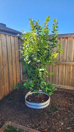 1000165738.jpg 1000165738.jpg