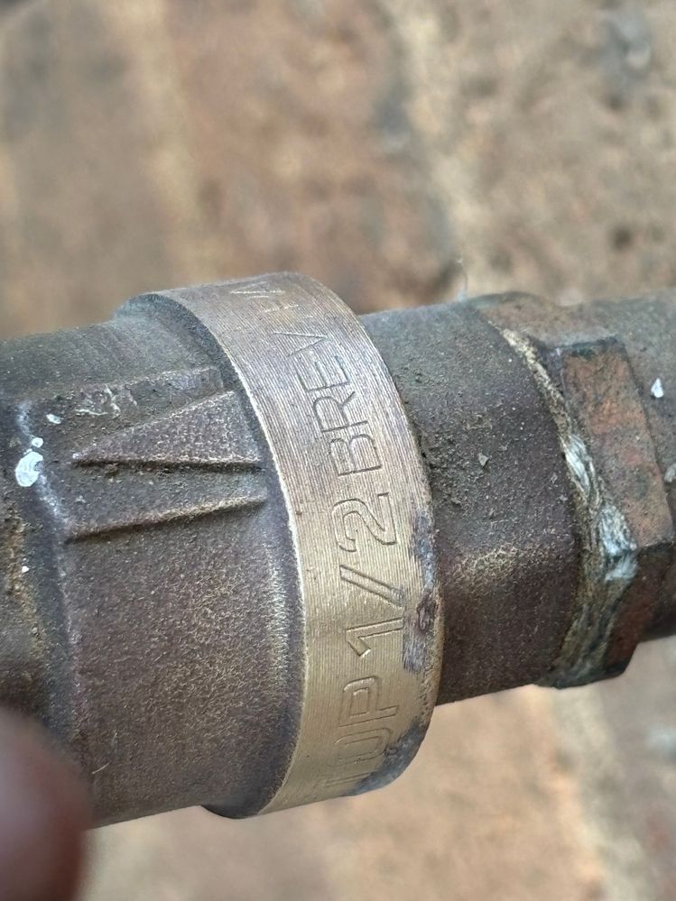 IMG_5900.jpg IMG_5900.jpg