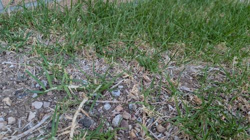 1000038312.jpg 1000038312.jpg