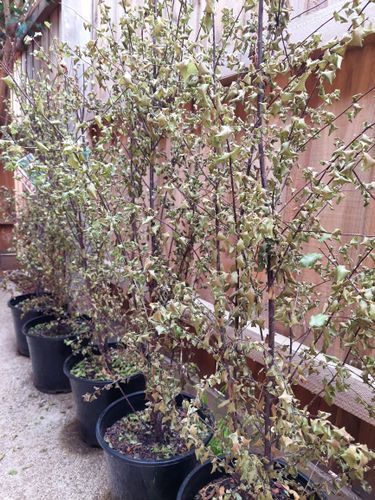 20230102_175533.jpg 20230102_175533.jpg