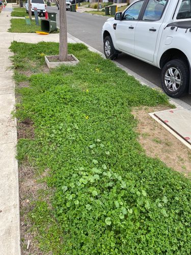 IMG_4336.jpeg IMG_4336.jpeg