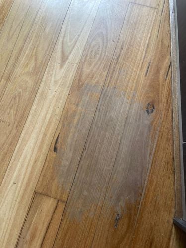 e4b5318d-18af-4177-ae60-8f89a91e0798.jpeg e4b5318d-18af-4177-ae60-8f89a91e0798.jpeg