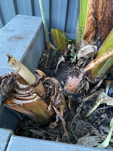 98D40891-0C8C-4CB5-9860-A1845A6AA750.jpeg 98D40891-0C8C-4CB5-9860-A1845A6AA750.jpeg