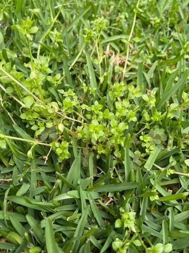 022A8656-185E-4915-9A39-624F4D6257CF_1_105_c.jpeg 022A8656-185E-4915-9A39-624F4D6257CF_1_105_c.jpeg