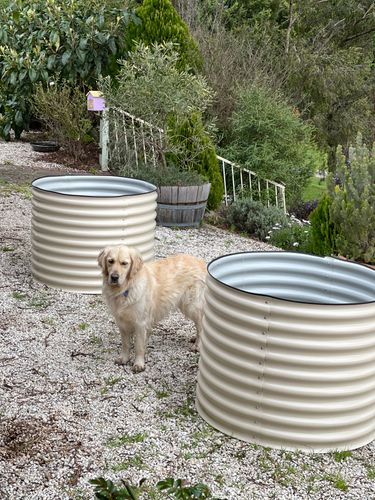 04FCF0A1-A4E9-424F-80E4-767129D723B2.jpeg 04FCF0A1-A4E9-424F-80E4-767129D723B2.jpeg