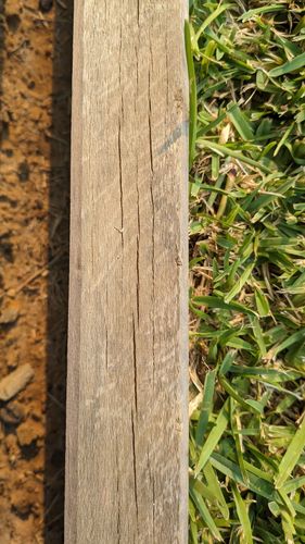 1000008644.jpg 1000008644.jpg