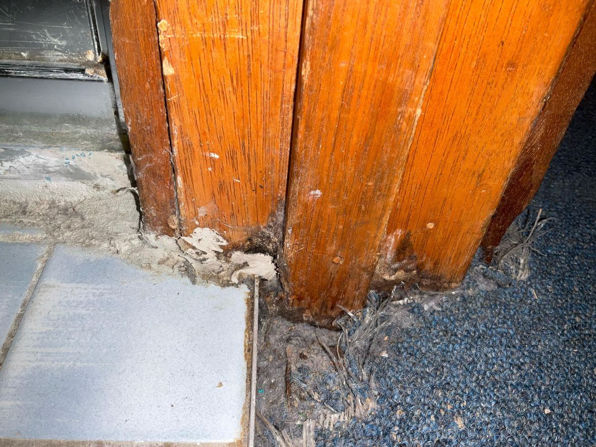 WhatsApp Image 2025-03-08 at 01.22.09 (1).jpeg WhatsApp Image 2025-03-08 at 01.22.09 (1).jpeg