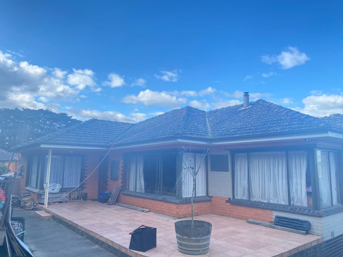 IMG_3144.JPG IMG_3144.JPG