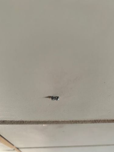 AF11196B-D9DD-4A65-81CF-4B22F72D6AF9.jpeg AF11196B-D9DD-4A65-81CF-4B22F72D6AF9.jpeg