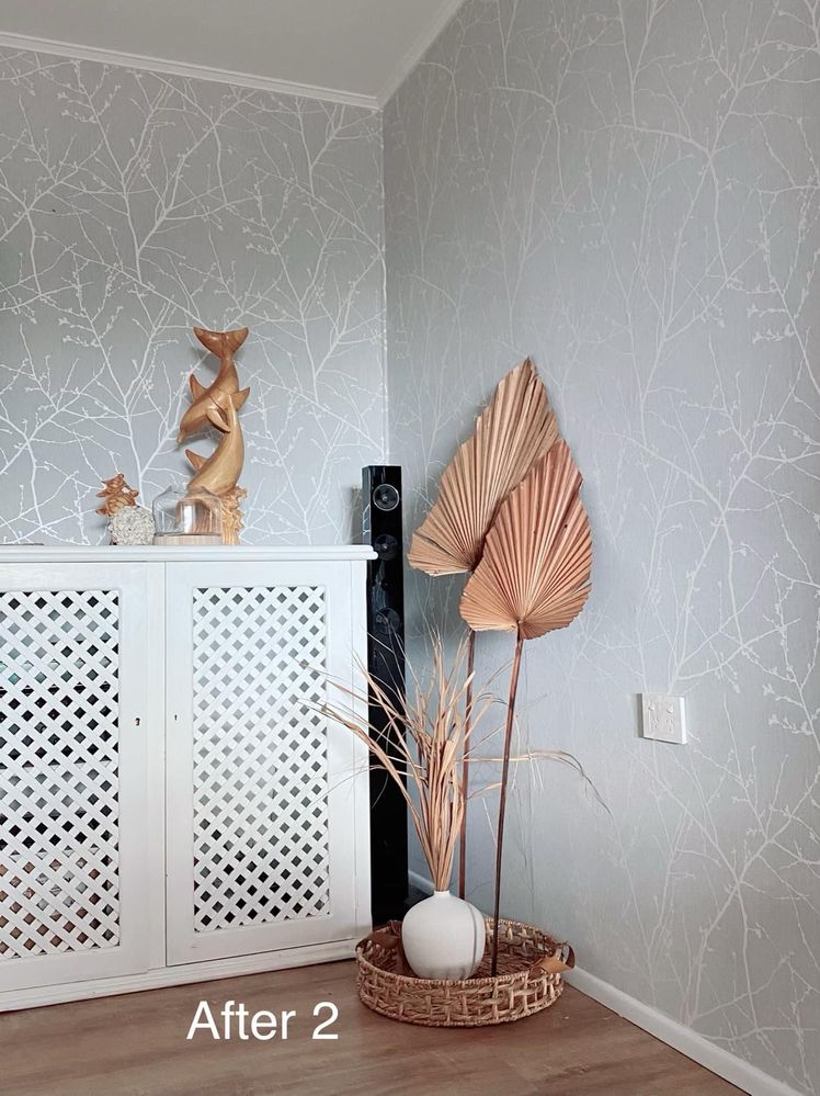 IMG_3952.jpeg IMG_3952.jpeg