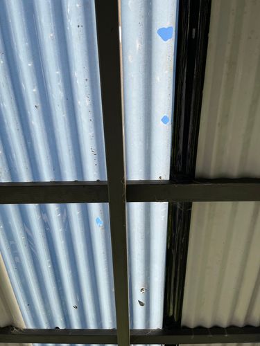 IMG_6557.jpeg IMG_6557.jpeg