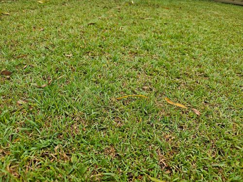 20241204_062814.jpg 20241204_062814.jpg