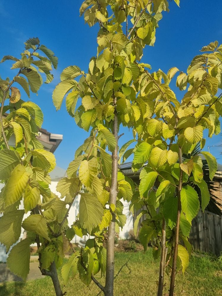 20230322_175017(1).jpg 20230322_175017(1).jpg