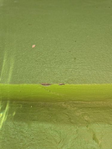 1000005359.jpg 1000005359.jpg