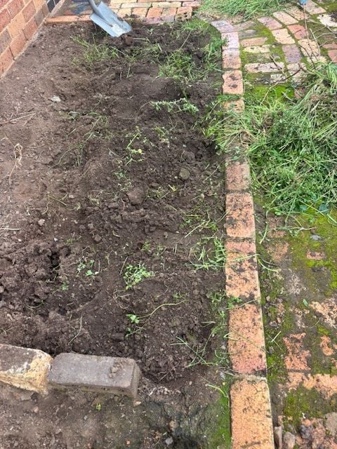 IMG_1576.jpg IMG_1576.jpg