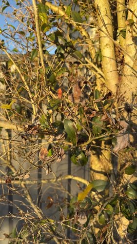 IMG_0900.jpeg IMG_0900.jpeg